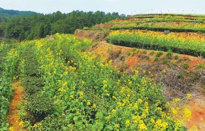 3872684682395810847 - 副本.jpg