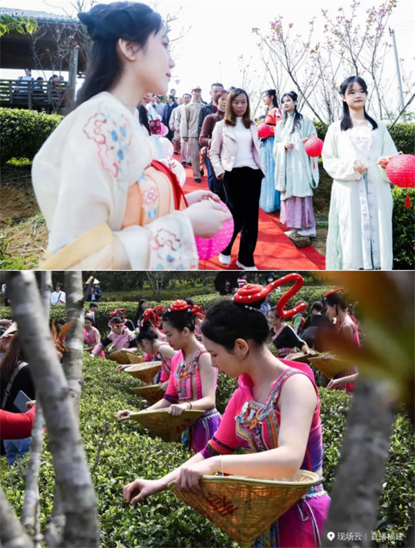 图片7.png