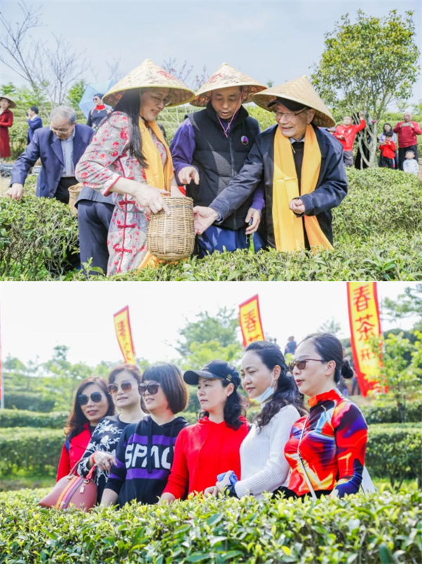 图片8.png