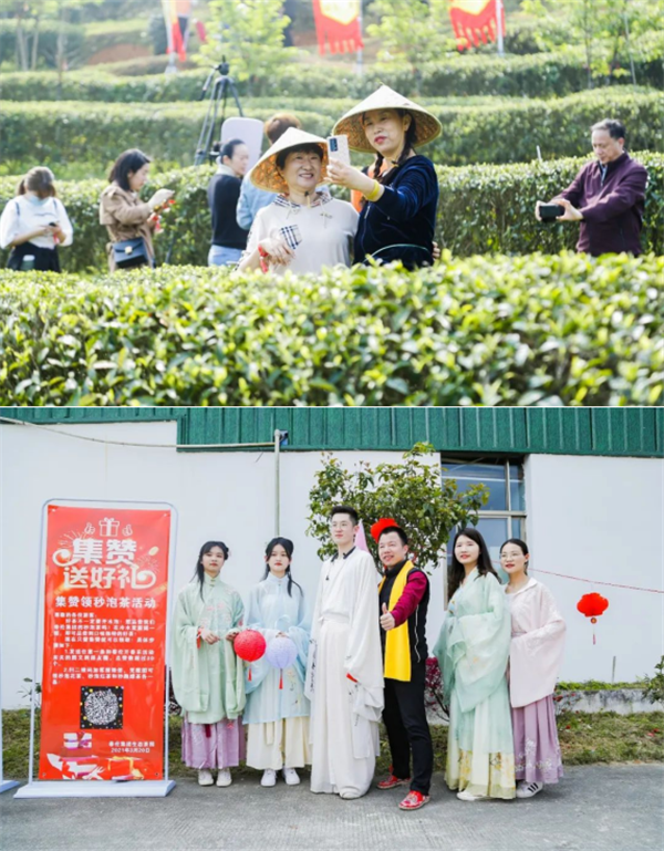 图片11.png