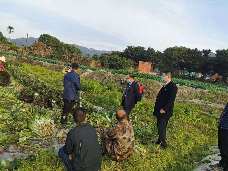 金融助理调研了解大坪村农户资金需求1.jpg