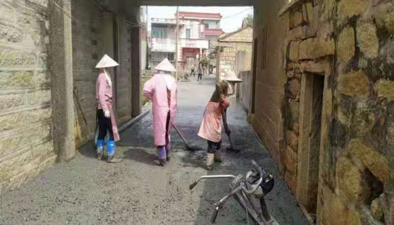 人居环境大提升，靓丽乡村入画来！    ——泉港区后张村人居环境蝶变之路 (初）(1)341.png