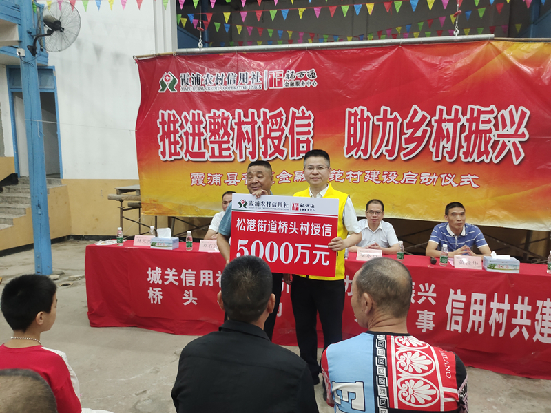 城关信用社为桥头村整村授信5000万元_副本.jpg