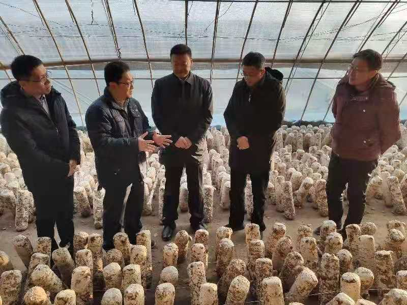 图片11.png