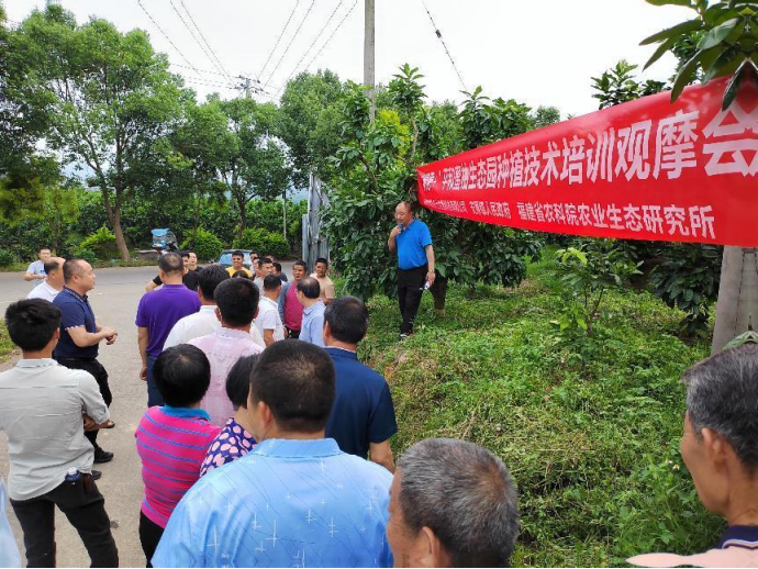 稿4 福建平和：“绿肥+” 柚园“种草”更生态85.png