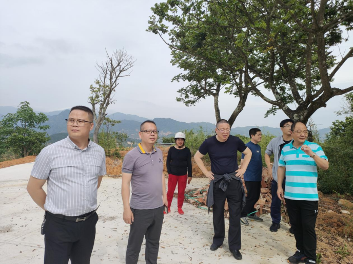 稿5：福建闽清：“绿肥+”梅溪橄榄“蓄”生态442.png