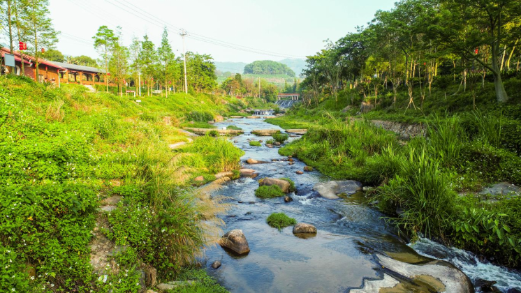 稿1：福建永春：环境整治颜值长 吾峰小镇增魅力50.png