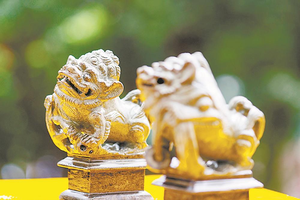 福气福望润福狮!你不知道的福建“狮文化”