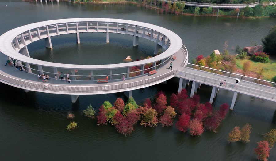 不少市民游客利用中秋假期前来观赏秋景。林铭鸿摄