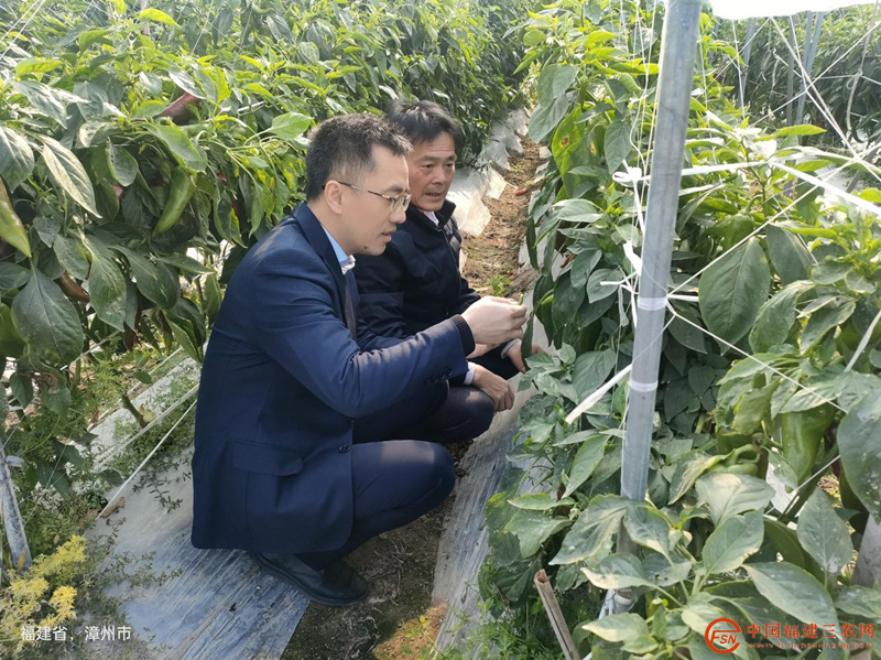 图片9_副本.png