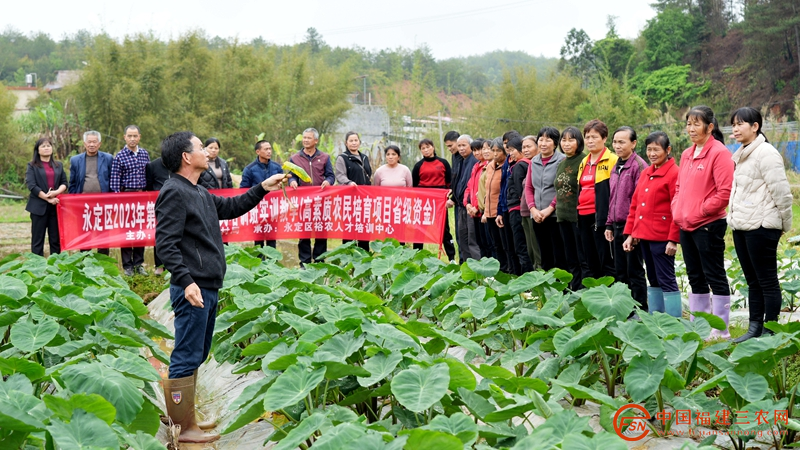 图片2_副本.png