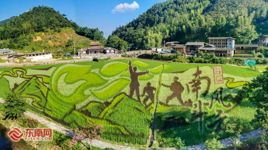 “南斗风云”红色主题3D稻田画。许华森 供图