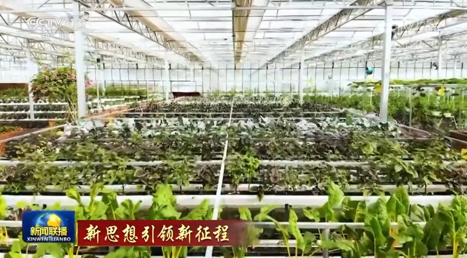 【新思想引领新征程】构建现代乡村产业体系 带动乡村振兴全面发展 【新思想引领新征程】构建现代乡村产业体系 带动乡村振兴全面发展