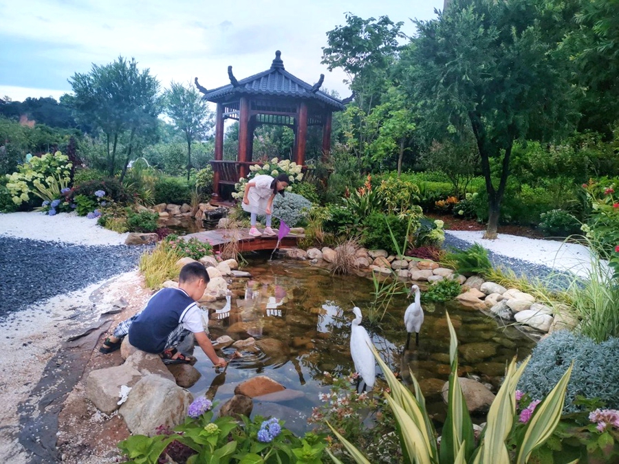 。宁德市委宣传部供图
