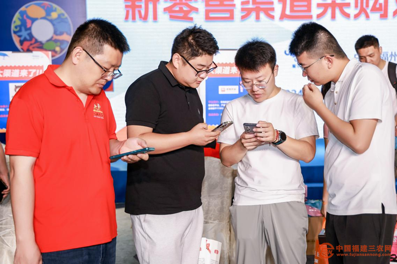 图片3_副本.png