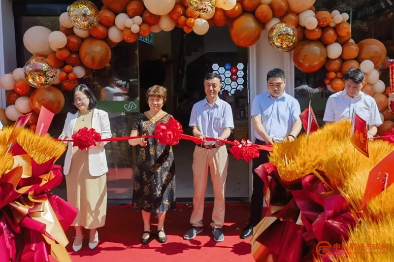 图片1_副本.png