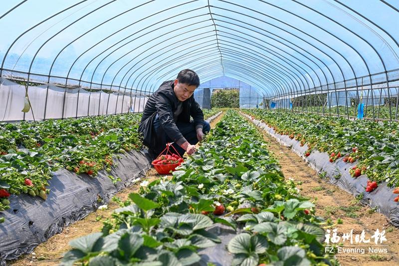 罗源杭山村：仙茅山下新宏图