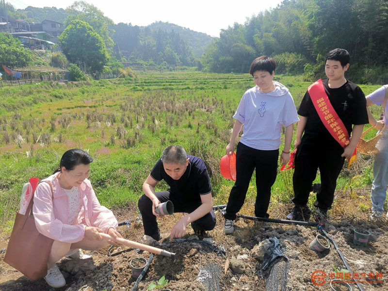 图片14.png