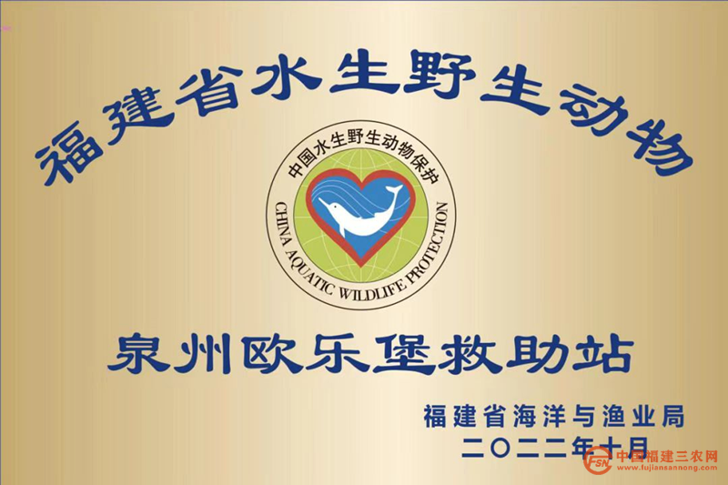 图片20.png