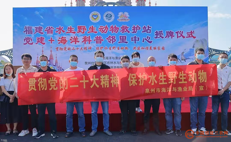 图片21.png